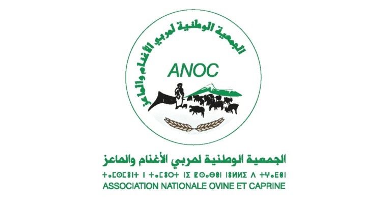 الجمعية الوطنية لتربية الأغنام والماعز (ANOC) تطلق توظيف أطر تقنية في مجال الإنتاج الحيواني